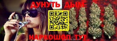 шишки Славянск-на-Кубани
