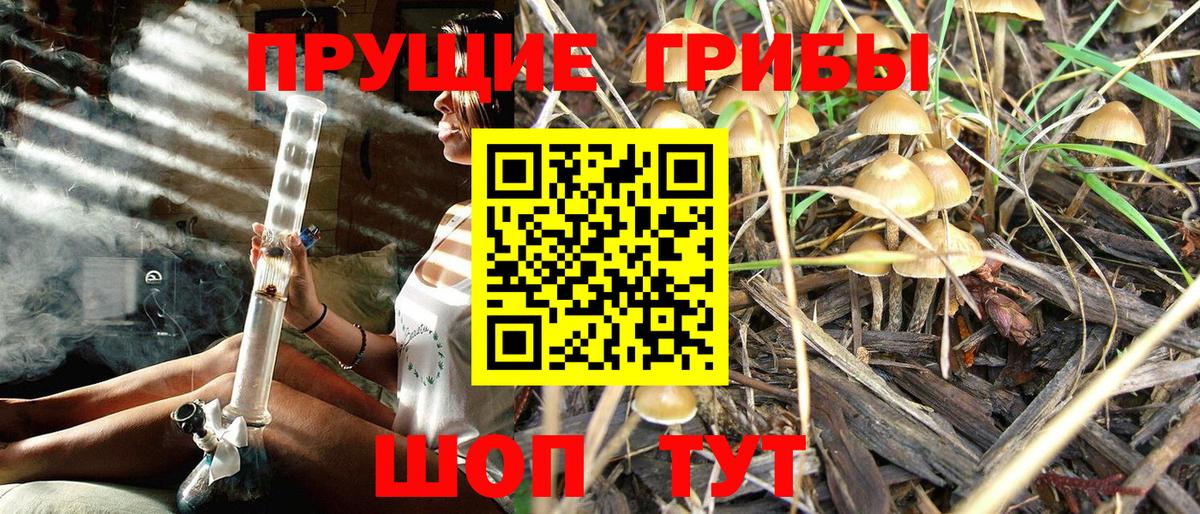 Псилоцибиновые грибы Cubensis  Вход с VPN  Алейск 